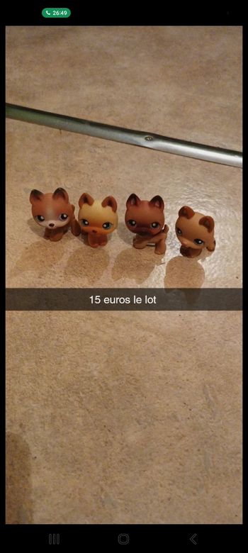 Pet Shop neuf