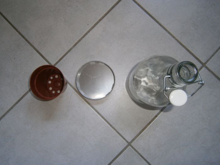 Bouteille en verre pour une plante - photo numéro 3