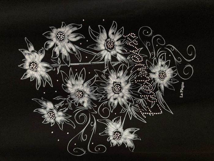 Tee-shirt Edelweiss Belle Plagne - photo numéro 3