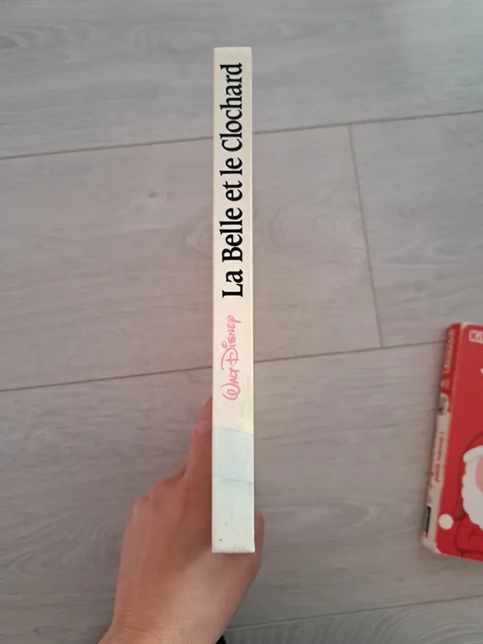 La belle et le clochard - photo numéro 2