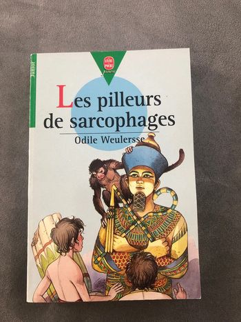 Les pilleurs de sarcophages