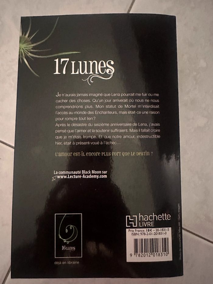 Roman 17 lunes - photo numéro 3