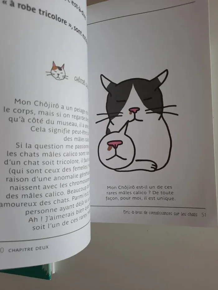 lot chats livres bd humour comportement - photo numéro 7