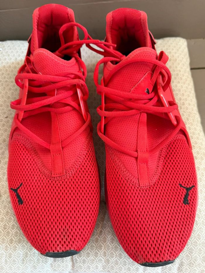 Basket puma homme taille 45