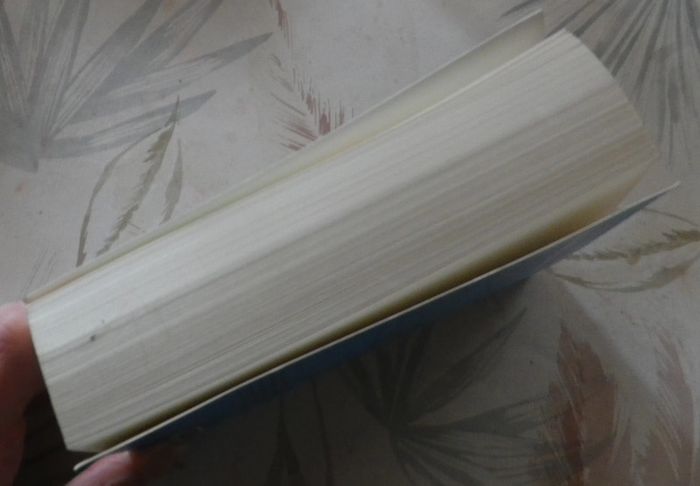 Ma soeur, ce boulet de Claire Scovell Lazebnik Ed. Piment - photo numéro 4