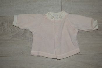 Pull aubisou naissance