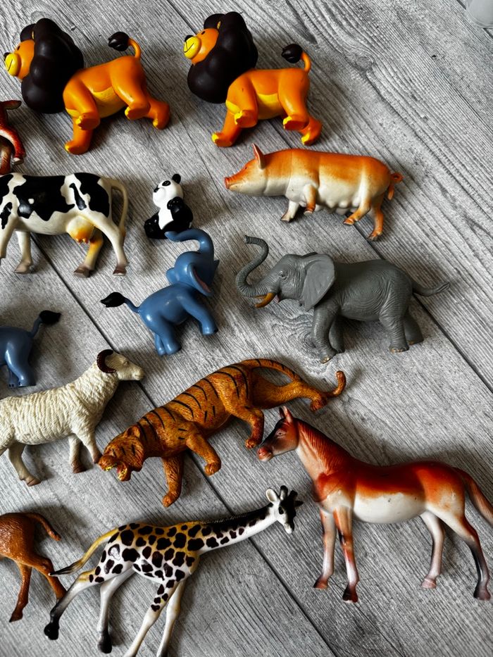 Animaux divers - photo numéro 3