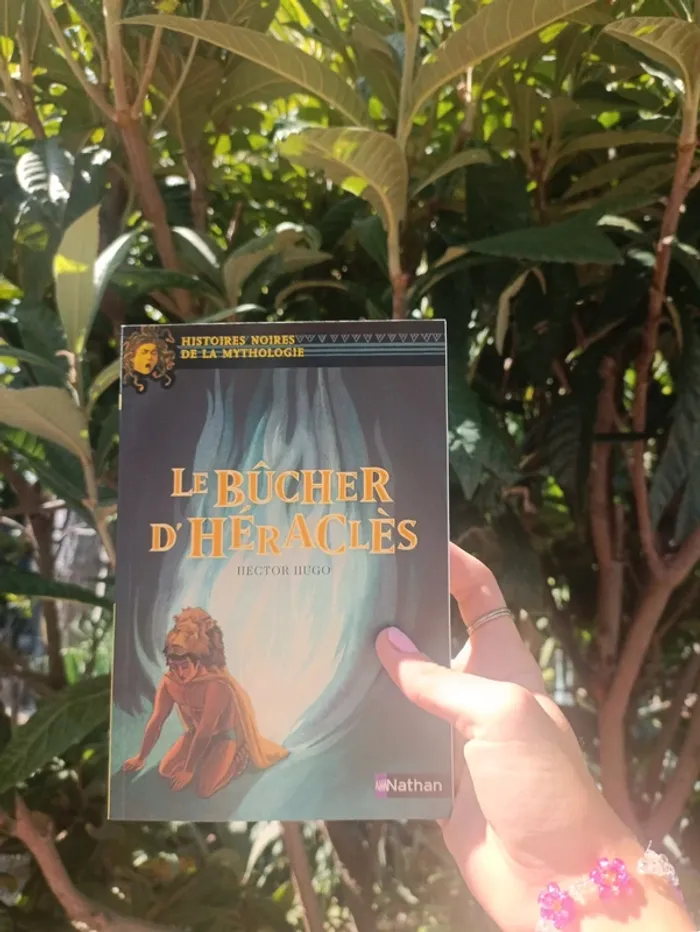 Lot de 4 livres Histoires noires de la mythologie et histoires de la bible - photo numéro 7