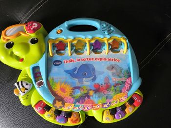 Thaïs la tortue exploratrice