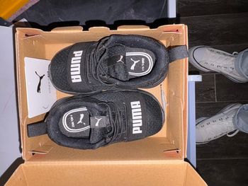 Chaussure puma