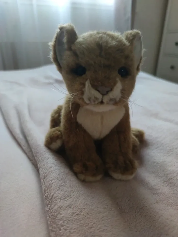 Peluches - photo numéro 2