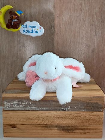 DDC348 doudou et compagnie lapin 🐰