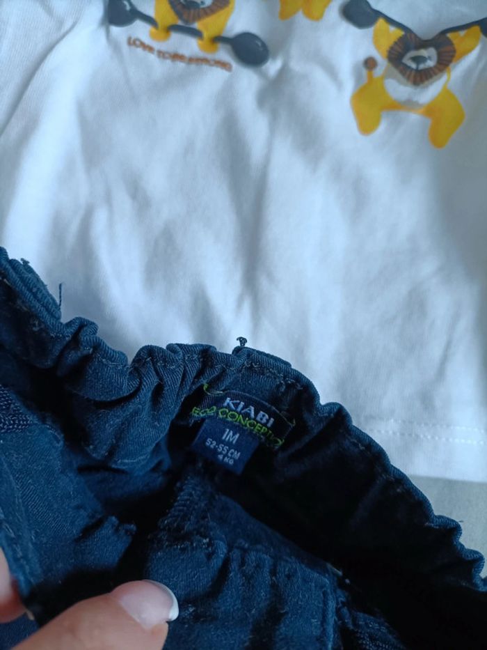 Ensemble Lions - photo numéro 4