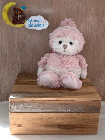 BK71 doudou ours 🐻 Bukowski