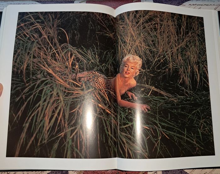 Marilyn Monroe - photo numéro 5