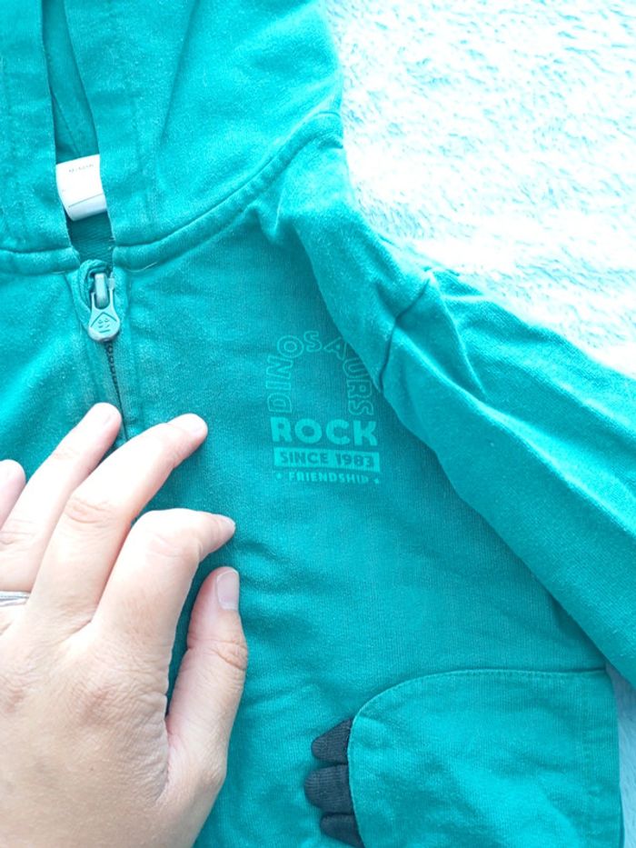 veste à capuche - photo numéro 2