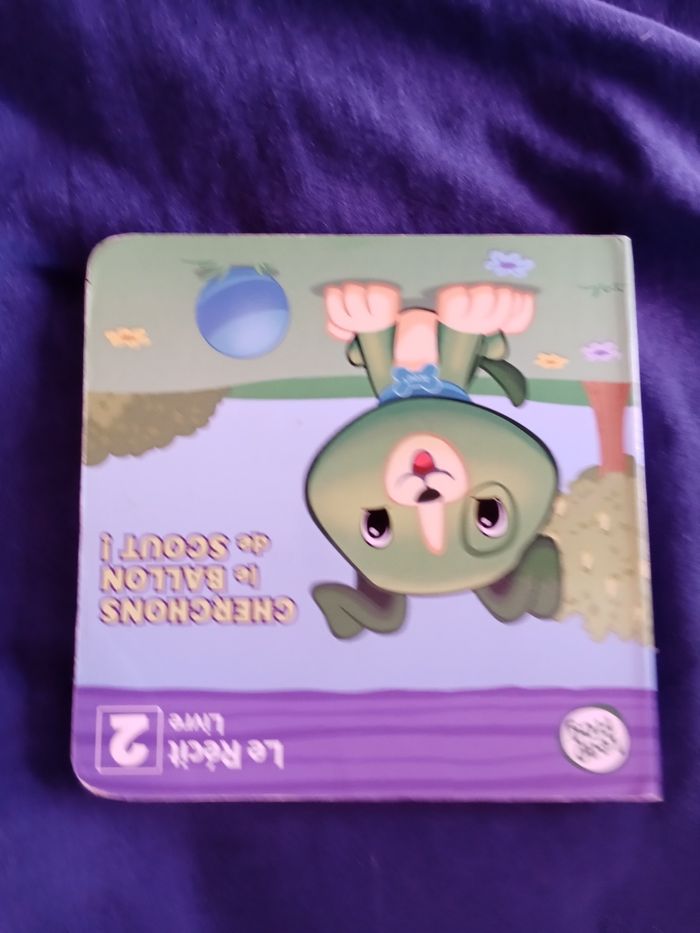 Scout raconte des histoires - photo numéro 6