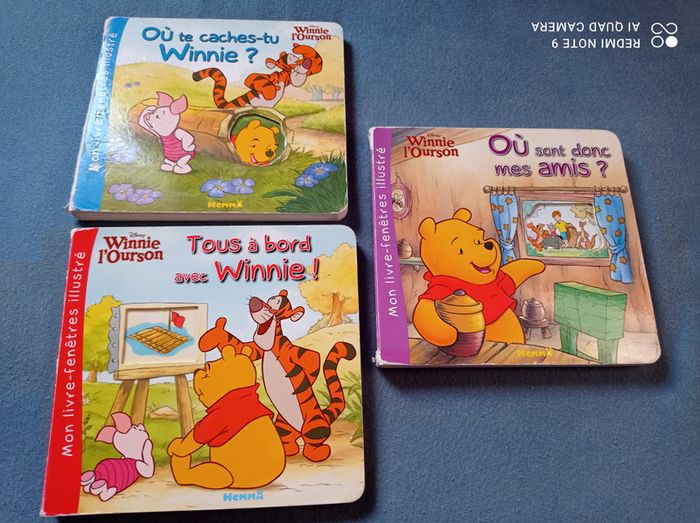 Lot de livres à trous Winnie l'ourson, éditions Hemma