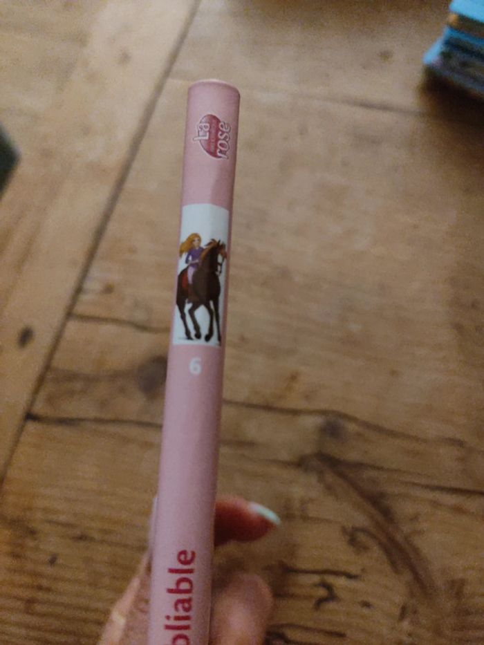 🐴Tome 6 "Mes amis les chevaux" - la Bibliothèque Rose🐴 - photo numéro 4