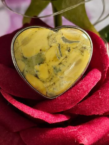 Bague coeur en argent Sterling 925 avec pierre jaspe butterfly