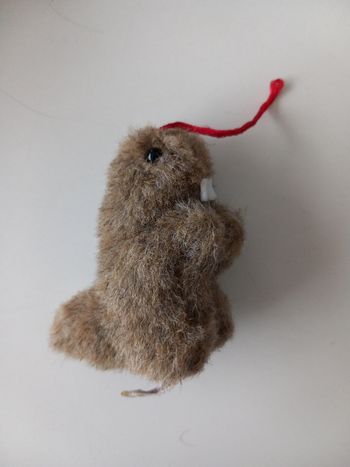 Mini peluche marmotte