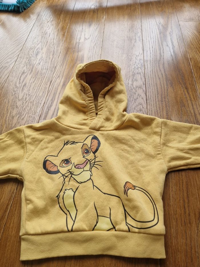 Ensemble le roi lion - photo numéro 2