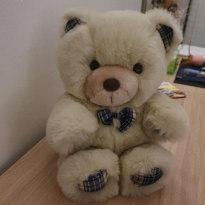 Ourson en peluche douce