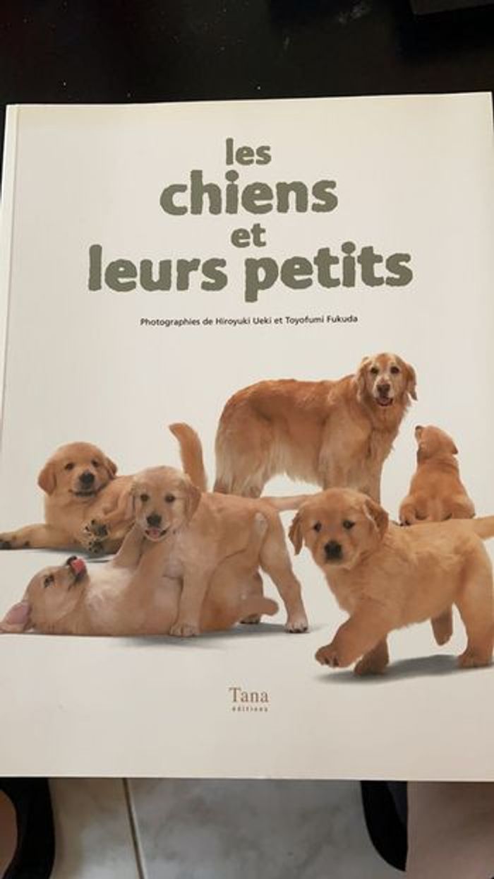 Les chiens et leurs petits