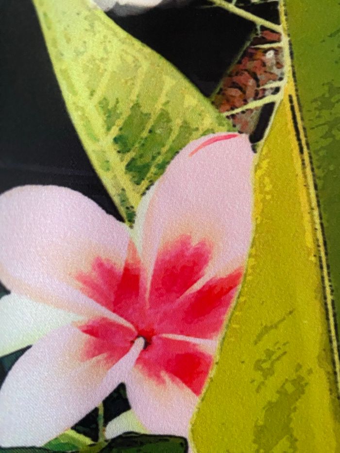 Blouson léger - photo numéro 4