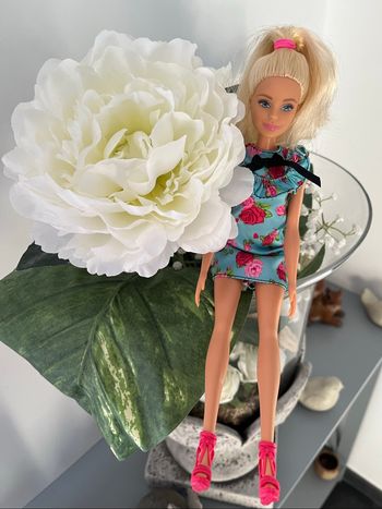Barbie fashionistas