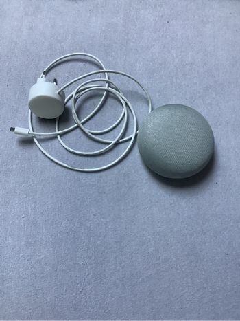 Google home mini