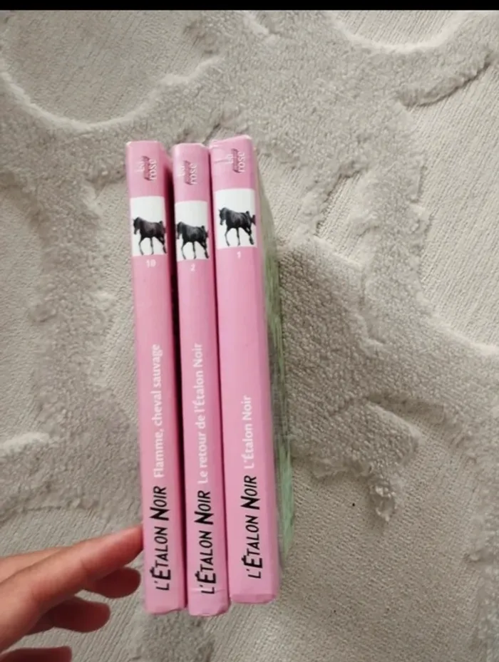Lot de 3 livres l’étalon noir de la bibliothèque rose en très bon état - photo numéro 3
