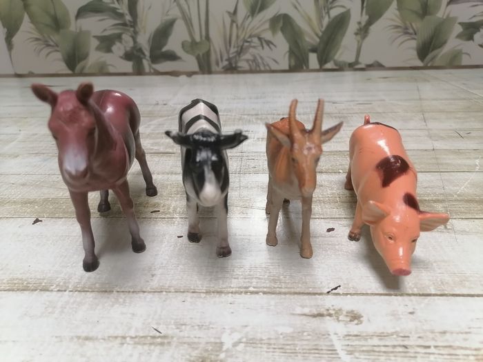 Animaux. - photo numéro 2