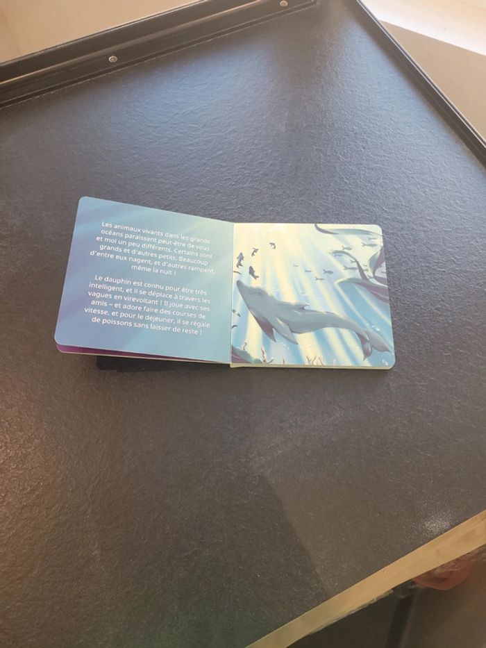 Livre virtuel - photo numéro 2