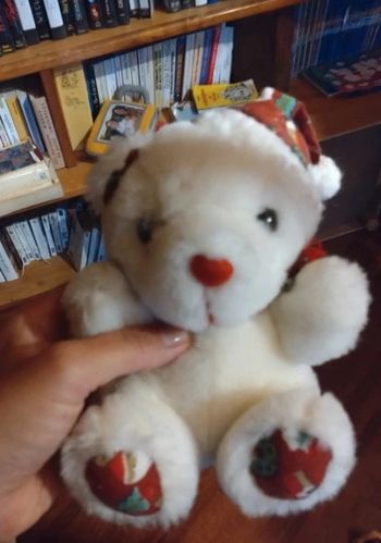 Petit ours blanc ourson peluche noël