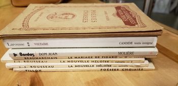 Lot livres littéraires classiques