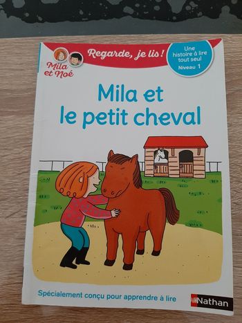Milan et le petit cheval