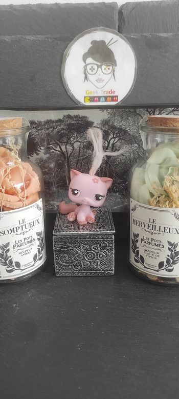 My Littlest Petshop Pet Shop LPS Authentic  Authentique cat Siamese Siamois 603