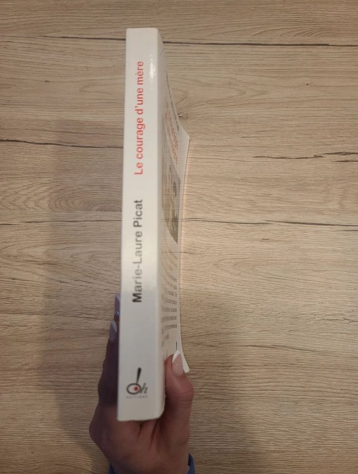 Livre le courage d'une mère - photo numéro 4