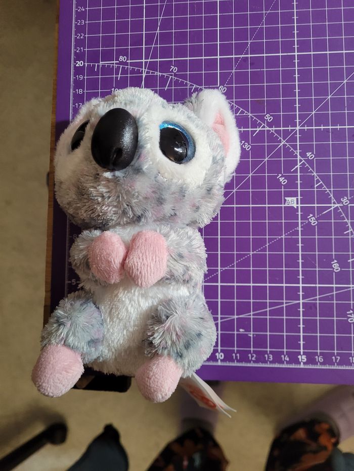 Koala - photo numéro 7