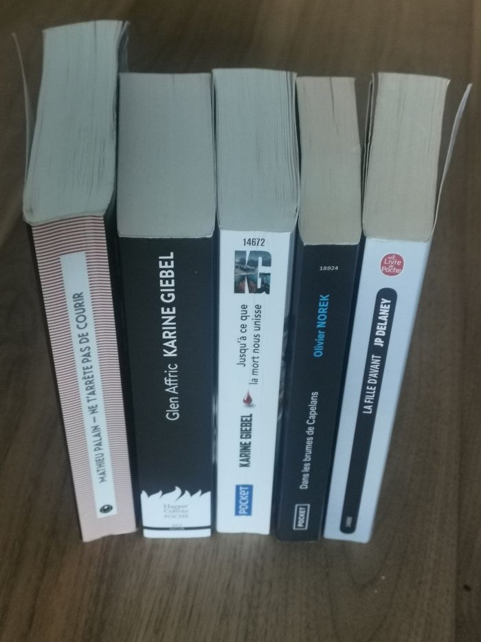 Karine Giebel, Olivier Norek, Mathieu Palain, JP  Delaunay - photo numéro 3