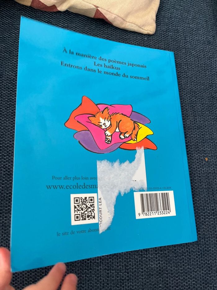 Livre - photo numéro 4