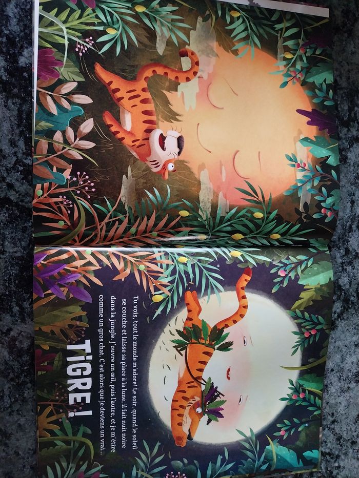 Livre - photo numéro 3