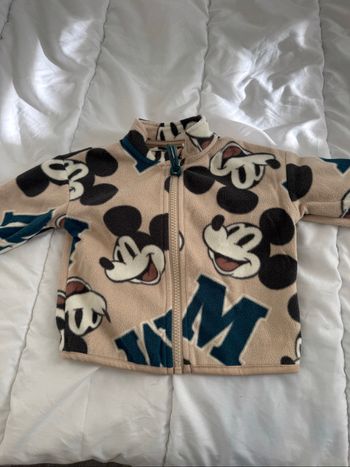 Gilet polaire, Mickey
