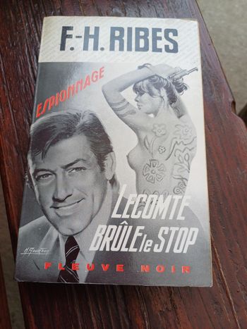 Livre Lecomte brûle le stop