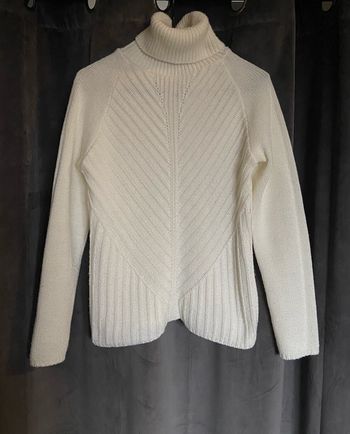 Pull épais à col roulé 