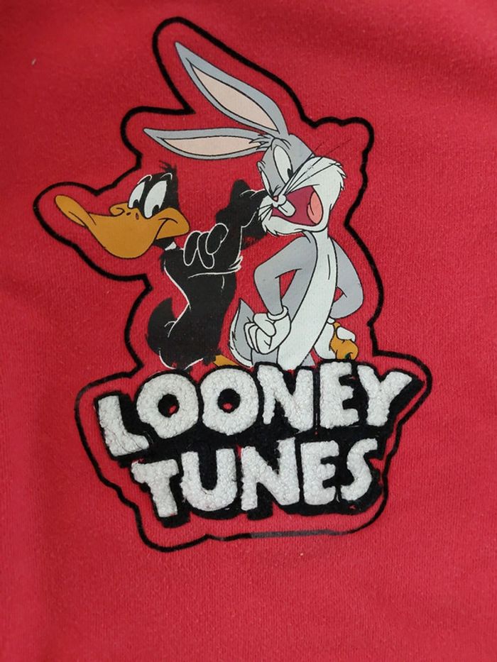 Sweat Looney Tunes orchestra - photo numéro 3