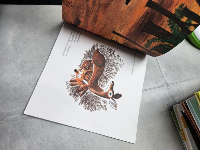 Livre enfant : Bois dormant - photo numéro 4