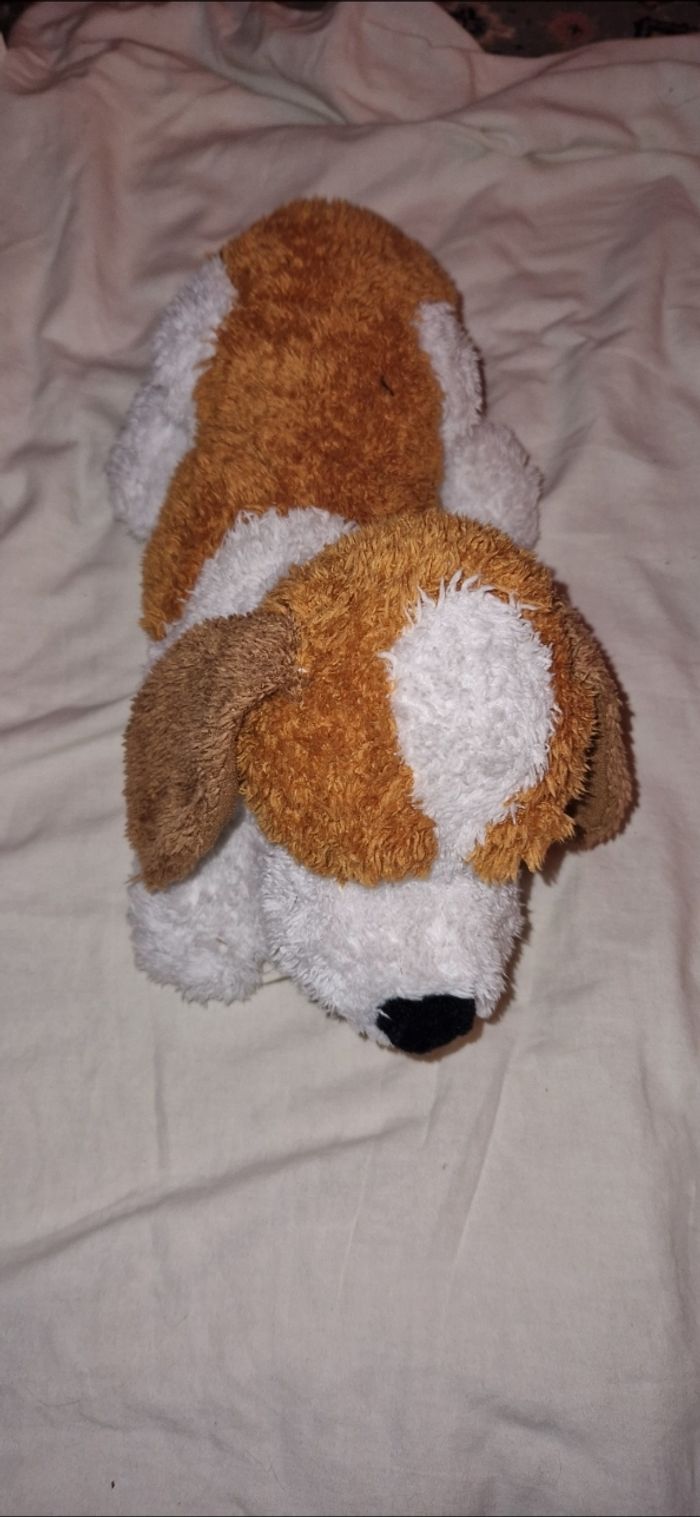 Chien - photo numéro 2