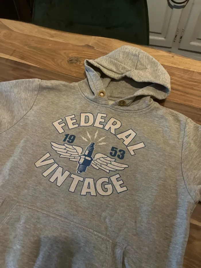 sweat à capuche - photo numéro 2